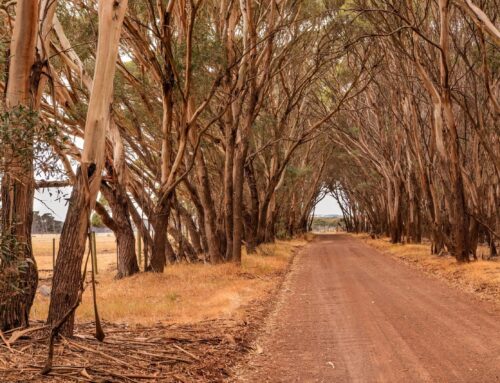 Banks learn from past financial crises – First Published in Stock Journal on 18/05/2020