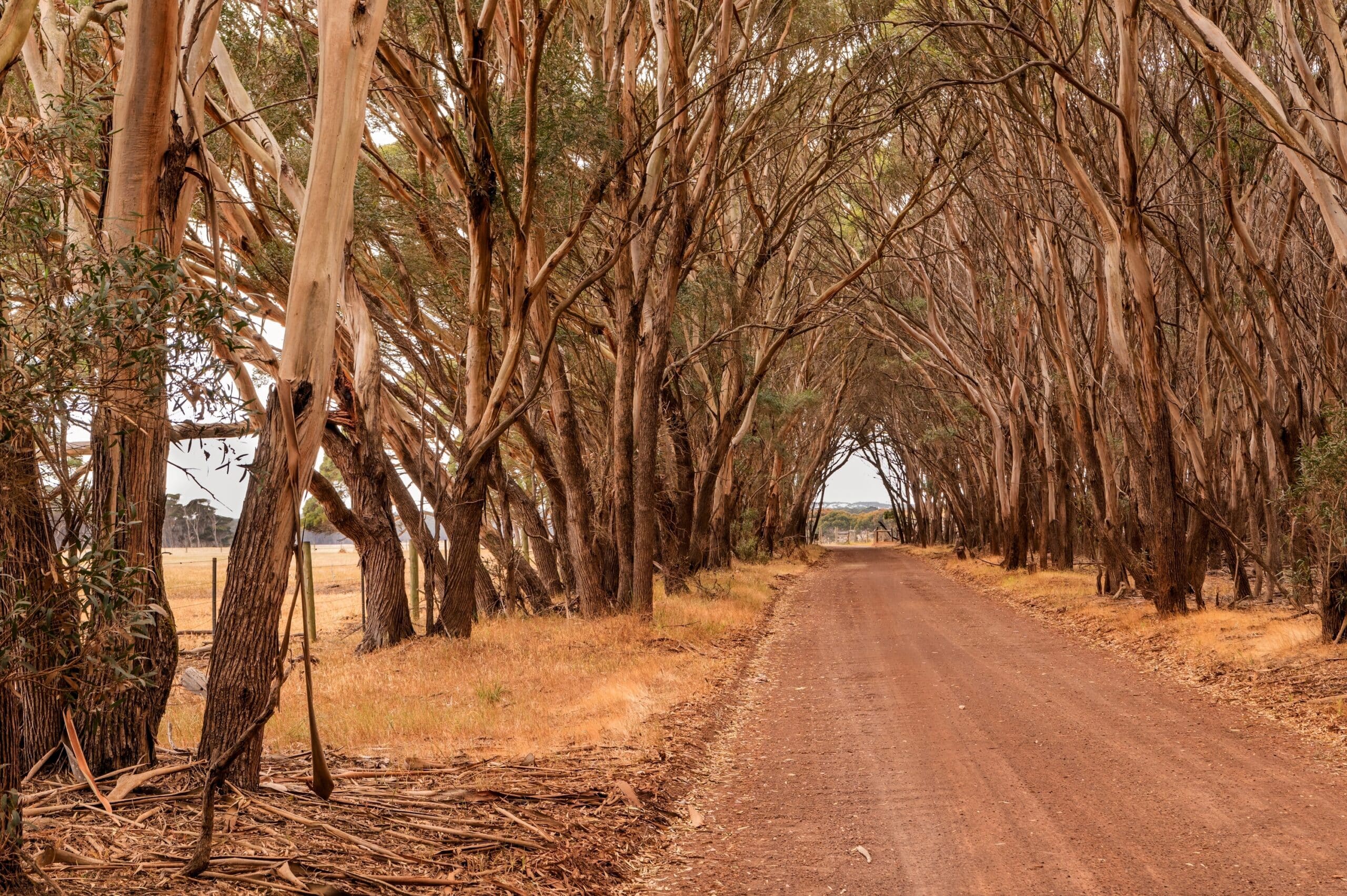 shutterstock 2433924591 scaled