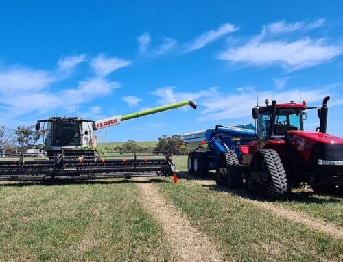 Lay down rules at get-go to avoid confusion – First Published in Stock Journal on 20/04/2020