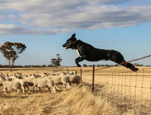 Better understanding business profit drivers – First Published in Stock Journal on 21/09/2020