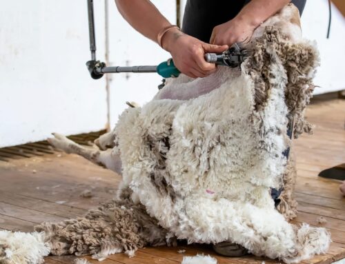 Use extra time to broaden knowledge and skills – First Published in Stock Journal on 04/05/2020