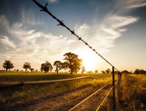 Past interactions form part of shared story – First Published in Stock Journal on 04/10/2021