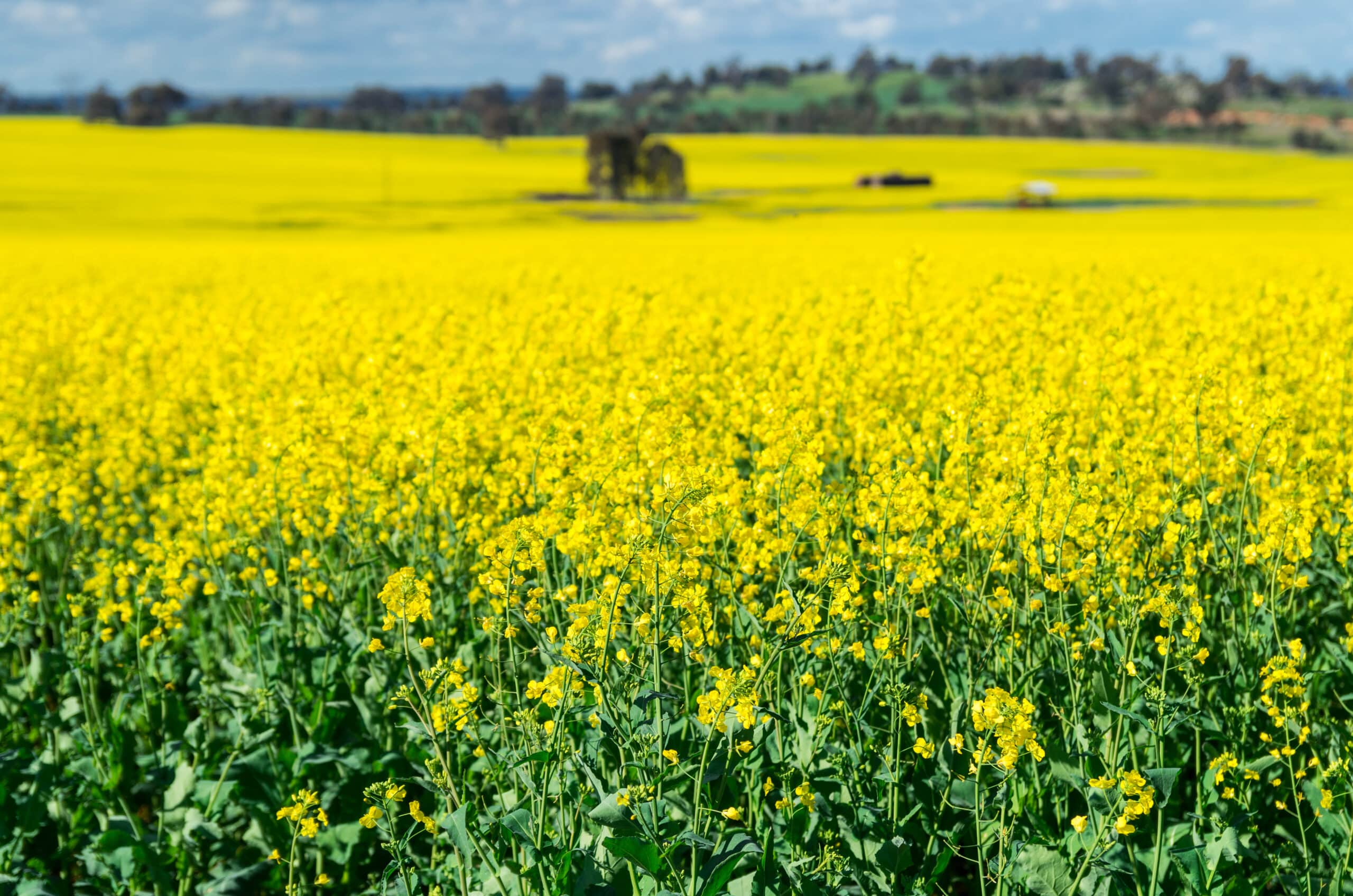 shutterstock 712309351 scaled